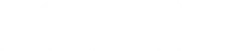 Boston Consulting Group